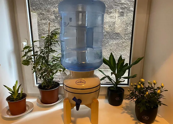 Orient Express In The Center Of Riga