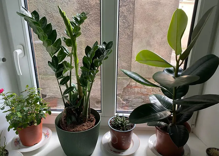 Orient Express In The Center Of Dzīvoklis Riga