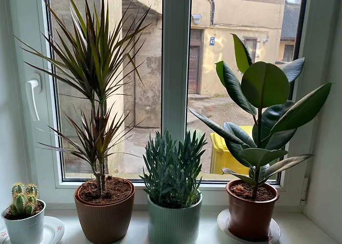 Dzīvoklis Orient Express In The Center Of Riga