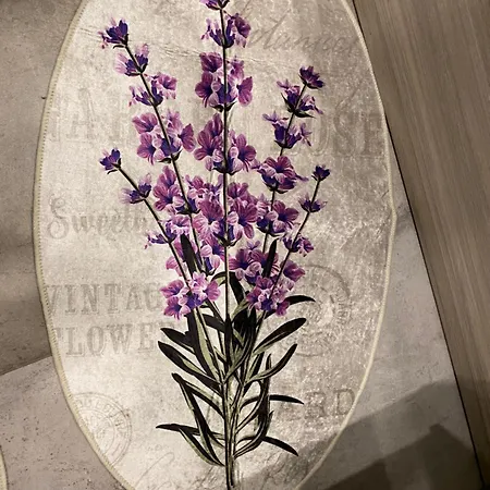 Orient Express In The Center Of Apartament