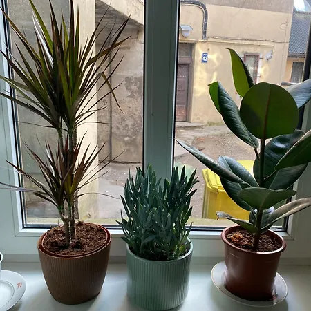 Apartament Orient Express In The Center Of Ryga