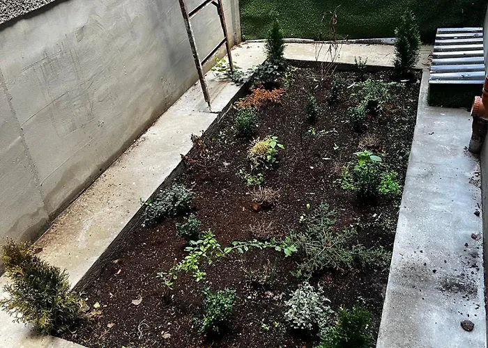 Orient Express In The Center Of *