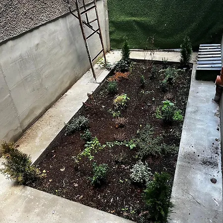 Orient Express In The Center Of *